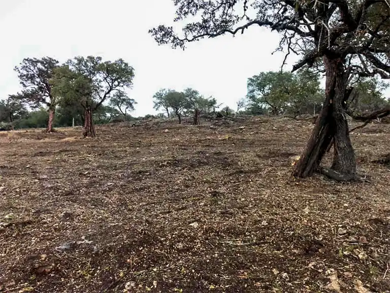 wimberley and central texas land clearing company