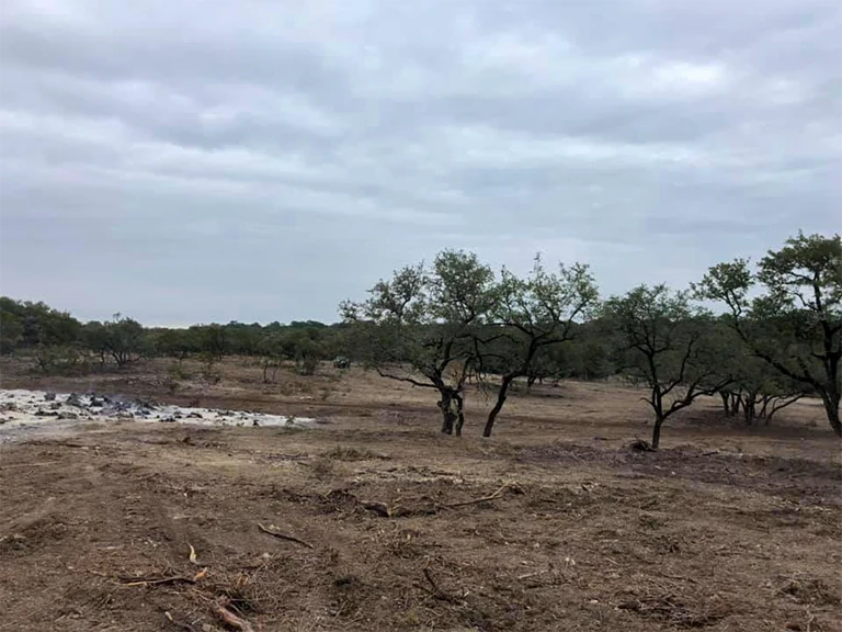 land management and tree clearing in wimberley, texas